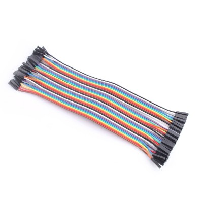 40-Pin dupont cable (F-F) (20 cm)